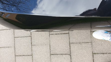 20210430_170337.jpg