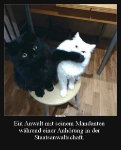 1619866826330.jpeg