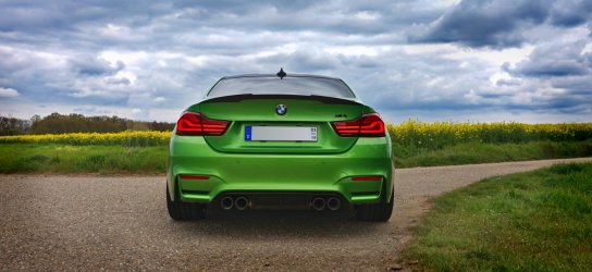 M4_Back_small_01.jpg