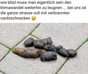 6Unbenannt - Kopie.JPG