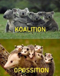 7Unbenannt - Kopie.JPG