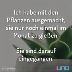 F0B2057E-C2C0-4CB8-BFD6-3901F1E2FBE9.jpeg