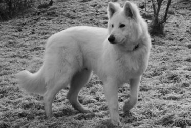 C71D4718-229E-4C4B-AB95-8638BB94005F.jpeg