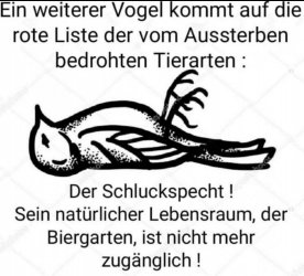 842E1A4A-D9A8-48B4-A6A2-5E0A46D39861.jpeg