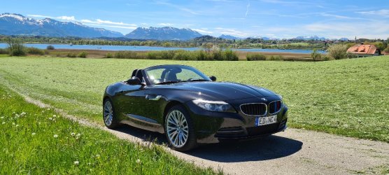 Black Beauty.jpg.jpg Black Beauty.jpg.jpg