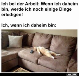 1620972065192.jpeg