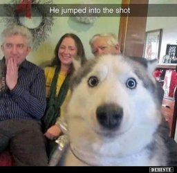 1621236685643.jpeg