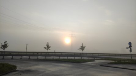IMG-20210519-WA0002.jpeg