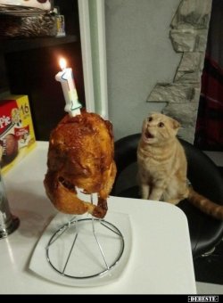 1621489312052.jpeg