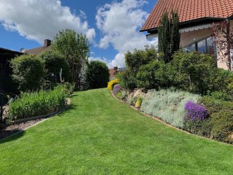 IMG_5750.jpeg IMG_5750.jpeg