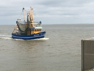 7455F059-2DA0-4D83-A12C-3806042E022C.jpeg