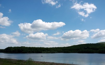 20210530_140803 (2).jpg