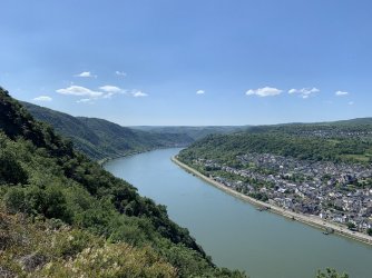 IMG_4458.jpg