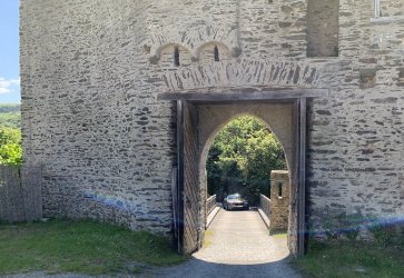 IMG_4461.jpg