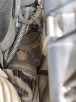 SAVE_20210605_180643.jpg