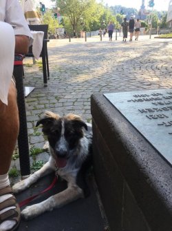 D278A540-3C9A-4AF0-B26E-977A06C79F18.jpeg