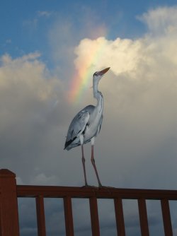Maldives 020.jpg