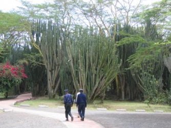 kenia_0294.jpg