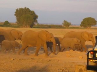kenia_0373.jpg