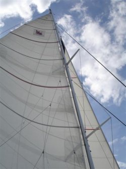 DSC01187 (Small).JPG