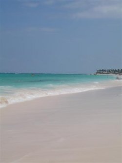 DSC01243 (Small).JPG