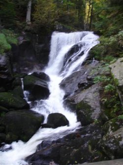 DSC01478 (Small).JPG