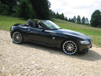 z41.jpg