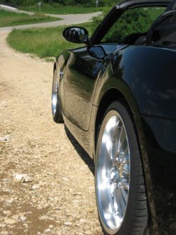 z42.jpg