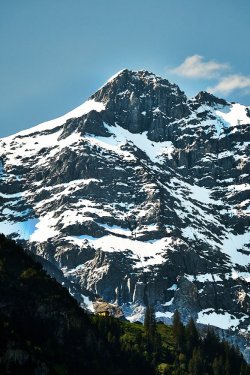 DSCF6795.jpg