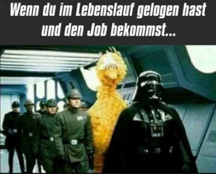 Lebenslauf.png
