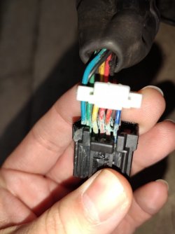 Stecker.jpg