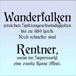 D8A82726-FB26-4EC4-9BA6-89C86DAA3FC5.jpeg