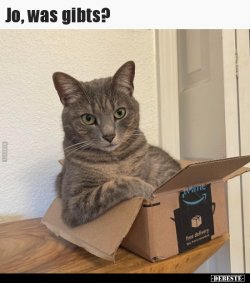 1624249980451.jpeg