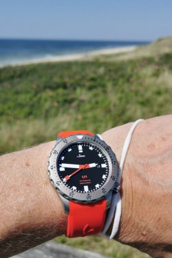 IMG_20210622_204445.jpg