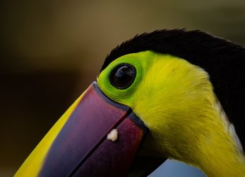 7A55FACF-0E0E-4259-BA35-19C4B388CDE3.jpeg