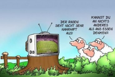 5Unbenannt - Kopie.JPG