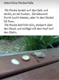 AB4FD590-A747-4138-9CB7-14A85AEF5A5D.jpeg