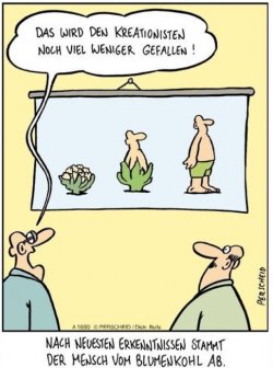 6Unbenannt - Kopie.JPG