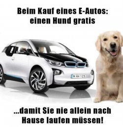 FE02ADD9-B3D5-496D-A4E7-31C915B13927.jpeg