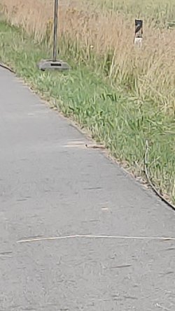 IMG-20210707-WA0000.jpeg