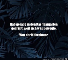 1495DAA8-052D-4411-81A8-1022B8249BCC.jpeg