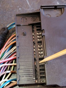 IMG_20210710_121014_717.jpg IMG_20210710_121014_717.jpg