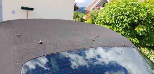 Durst.jpg