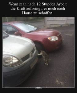 1626125008396.jpeg