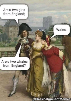 1626244386507.png