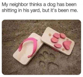 1626258486177.png
