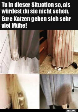 1626336301735.jpeg