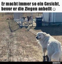 1626412721496.jpeg