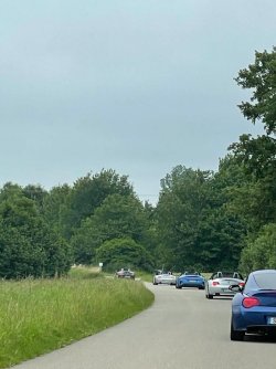 9E48D629-2C97-43D7-B671-D5A48194072A.jpeg 9E48D629-2C97-43D7-B671-D5A48194072A.jpeg