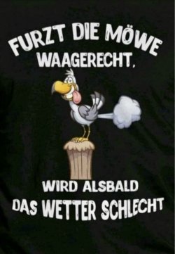 899ED117-19E8-4B18-AD1E-B2A4BA38194B.jpeg